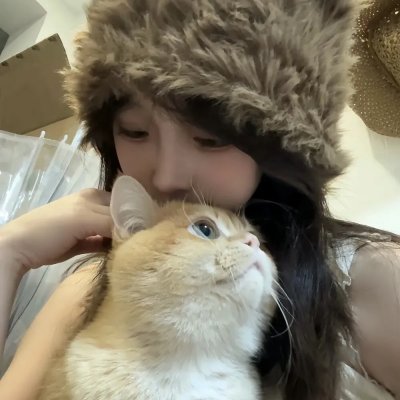 田禹治
